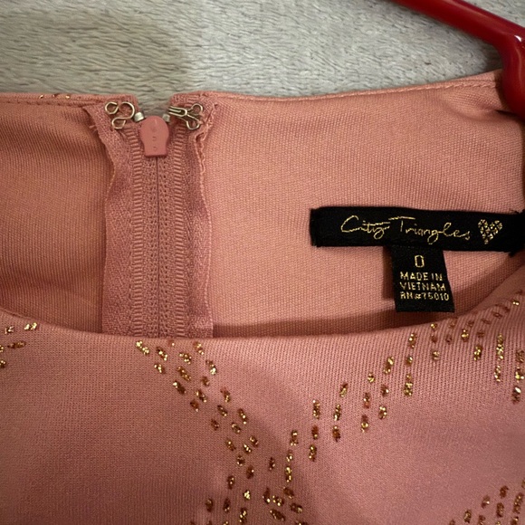 City Triangles Blush Cap Sleeve Dress with Sparkle Detail - Picture 6 of 6